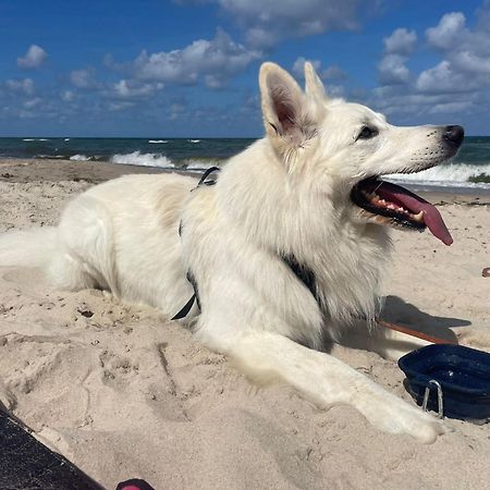 Dogs Welcome! Domek Na Zacisznej โปกอร์เชลีจา ภายนอก รูปภาพ